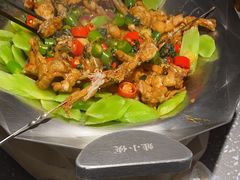 -蛙小侠(珠海华发商都店)