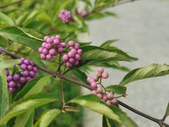 -张家湾公园