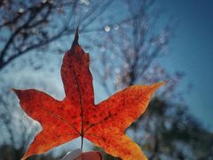 -北京西山国家森林公园