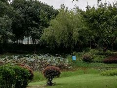 -怡海公园(桂城街道)