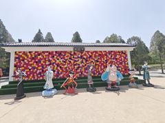 -神州牡丹园