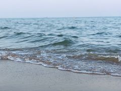 黄金海岸-四海鲜渔家菜(黄金海岸店)