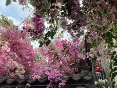 -深圳国际园林花卉博览园