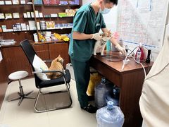 -宠颐生猫科·内科皮肤科(西平世纪城店)