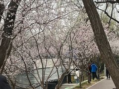 -安定门(地铁站)