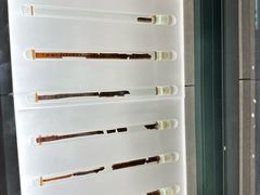 -银雀山汉墓竹简博物馆
