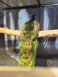 -酷嗒动物文化乐园(cutezoo西溪乐天城店)