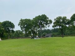-上海滨江森林公园