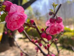 -元大都城垣遗址公园