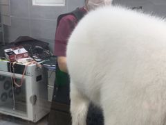 -宠福鑫康馨动物医院·骨科·眼科