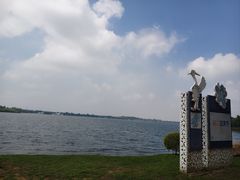 -丁香湖公园