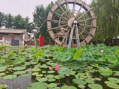 -河北村民俗体验园