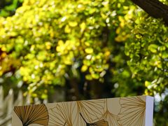 -三里屯东五街银杏大道