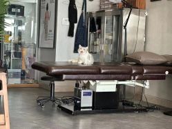 -極致刺青TATTOO STUDIO 私人订制