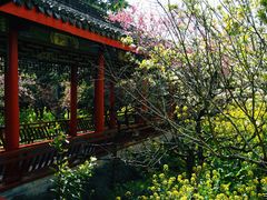 -南汇桃花村