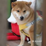 这个圣诞，土豆创意美食的浪漫滋味等你品鉴！