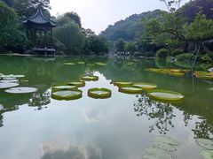 -云溪植物园