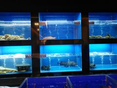 水产区-金时代顺风大酒店(临港百联店)
