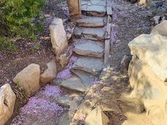 -桃花堤公园
