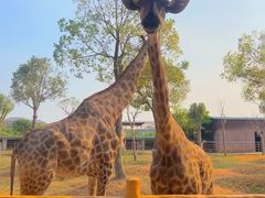 -祥源·阜阳生态乐园