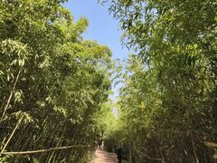 -西安汉城湖景区