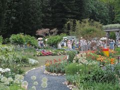 -深圳仙湖植物园