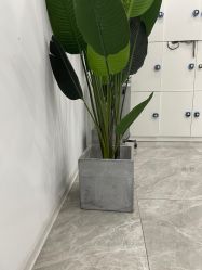 -D.z Salon 无痕接发潮店
