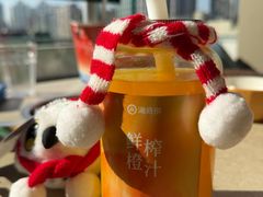 -海底捞大排档火锅(打浦路店)