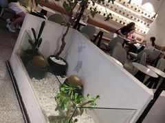 -莓超疯