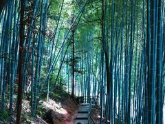 -五泄景区