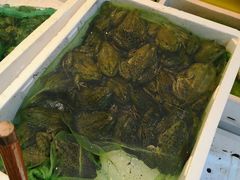 -鸿顺老铁锅美蛙鱼府(解放碑店)