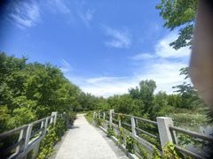 -昆山城市生态森林公园