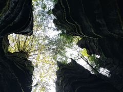 -梭布垭石林景区