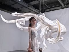 -凤凰中心