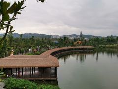 -枫香湖儿童公园