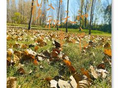-野鸭湖国家湿地公园