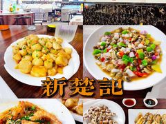 -新楚记
