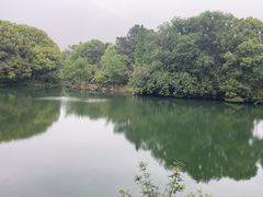 -张鸟园农家乐(张鸟园店)