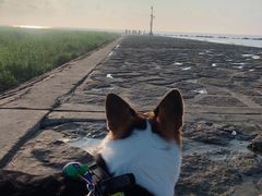 -南汇嘴观海公园