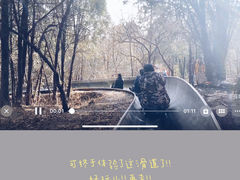 -八大处公园