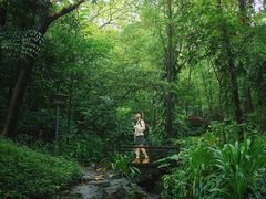 -广州市白云山风景名胜区