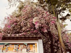 -深圳国际园林花卉博览园