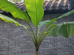 -水绘园