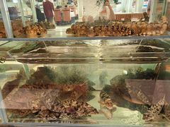 -天天渔港(杏林街店)