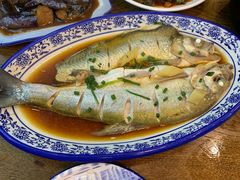 -老马家·舌尖上的西塘美食