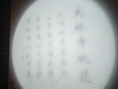 -庐山风景区花径公园