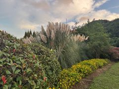 -贵阳市花溪国家城市湿地公园