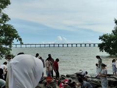 -宝安西湾红树林湿地公园