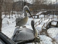 -石家庄市动物园