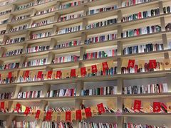 -深影国际影城(学院南路店CGS中国巨幕店)
